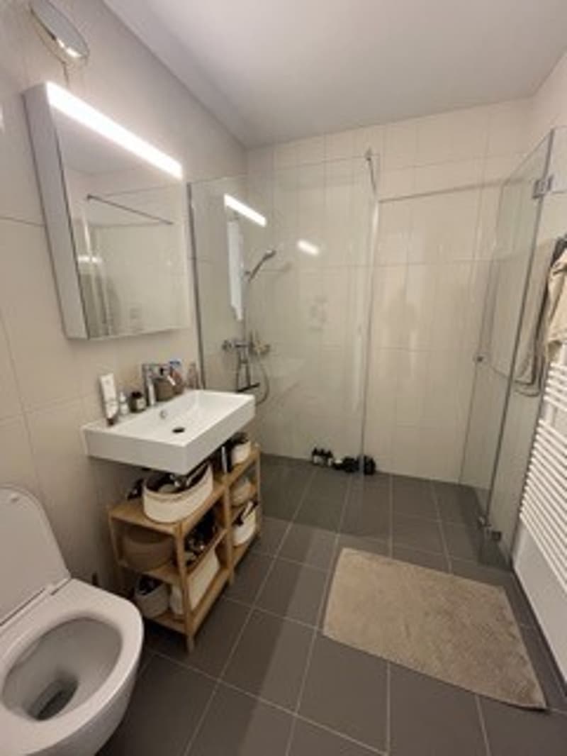 Rent a 1.5 room apartment in Wiedikon (4)
