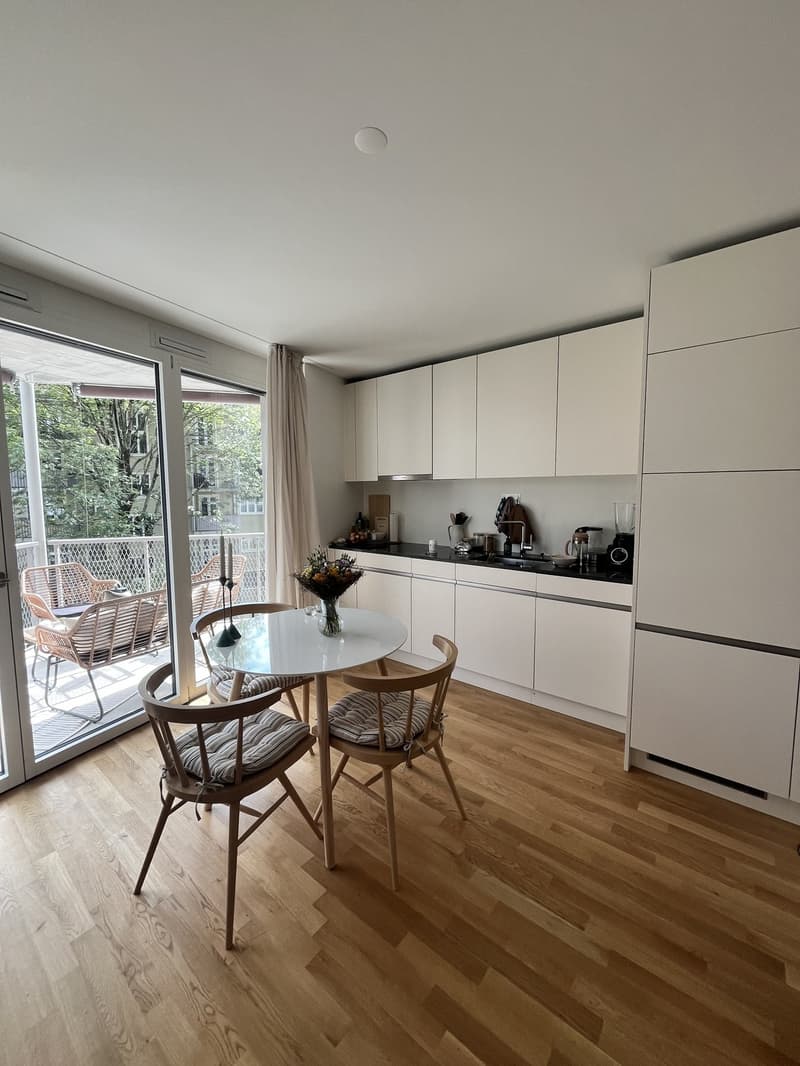 Rent a 1.5 room apartment in Wiedikon (6)