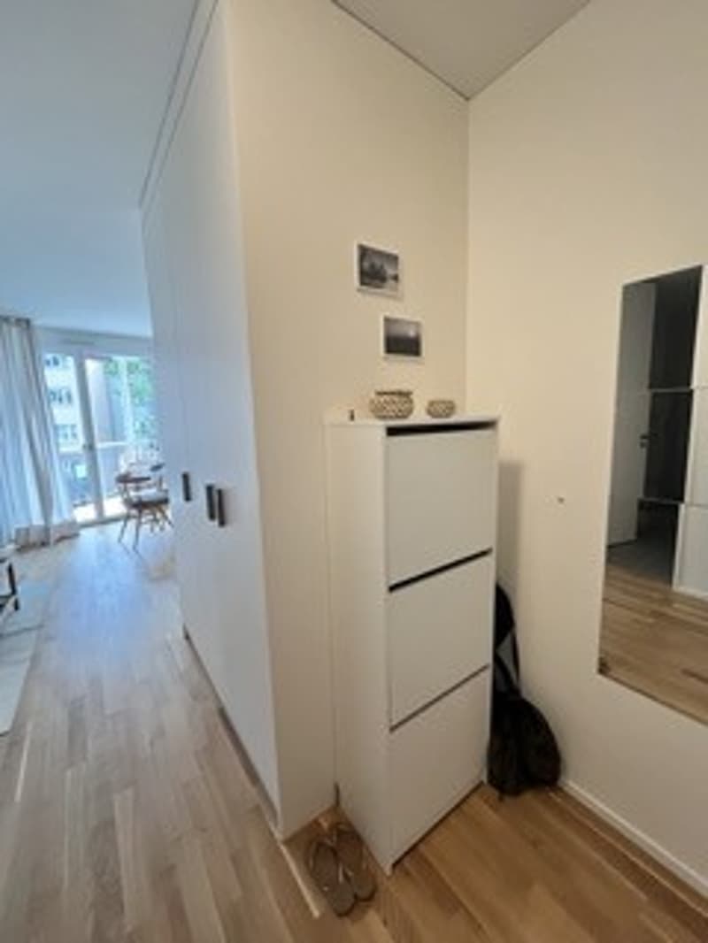 Rent a 1.5 room apartment in Wiedikon (2)