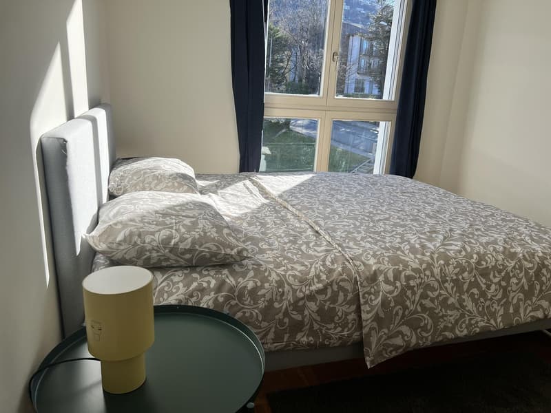 Appartamento arredato e pronto da vivere a Lugano (13)