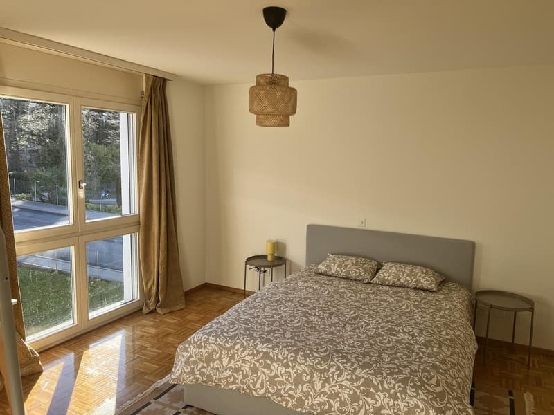 Appartamento arredato e pronto da vivere a Lugano (5)