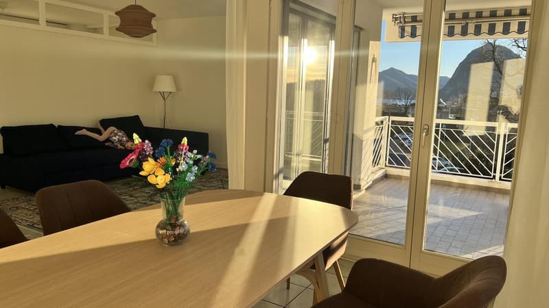 Appartamento arredato e pronto da vivere a Lugano (8)