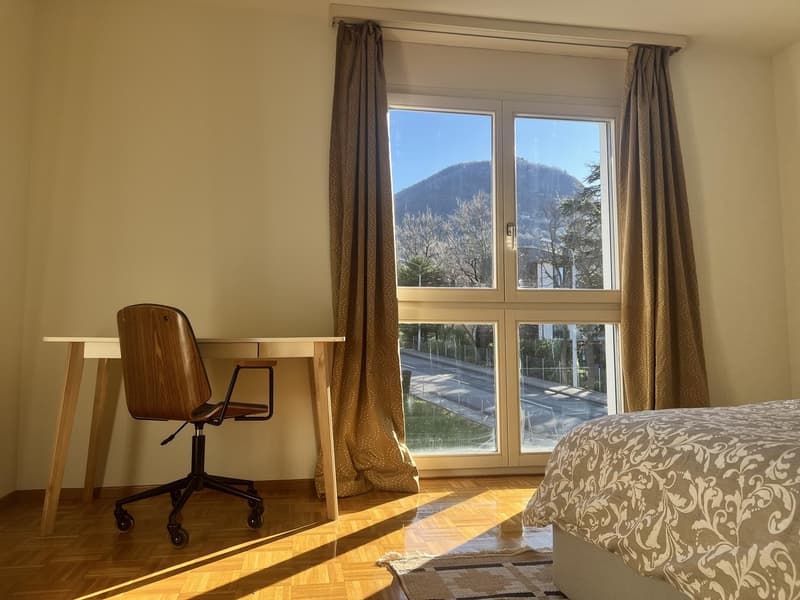 Appartamento arredato e pronto da vivere a Lugano (7)