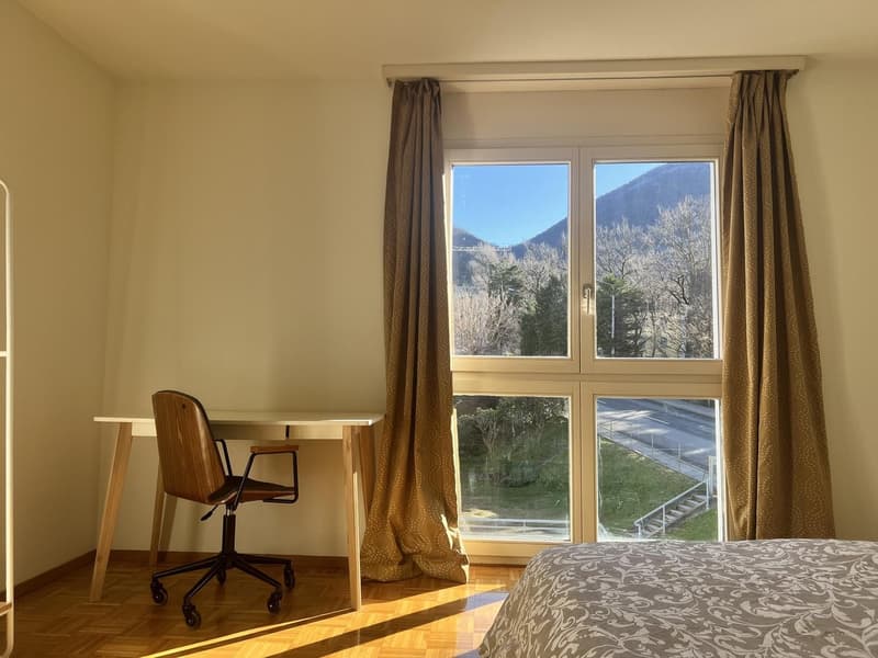 Appartamento arredato e pronto da vivere a Lugano (11)