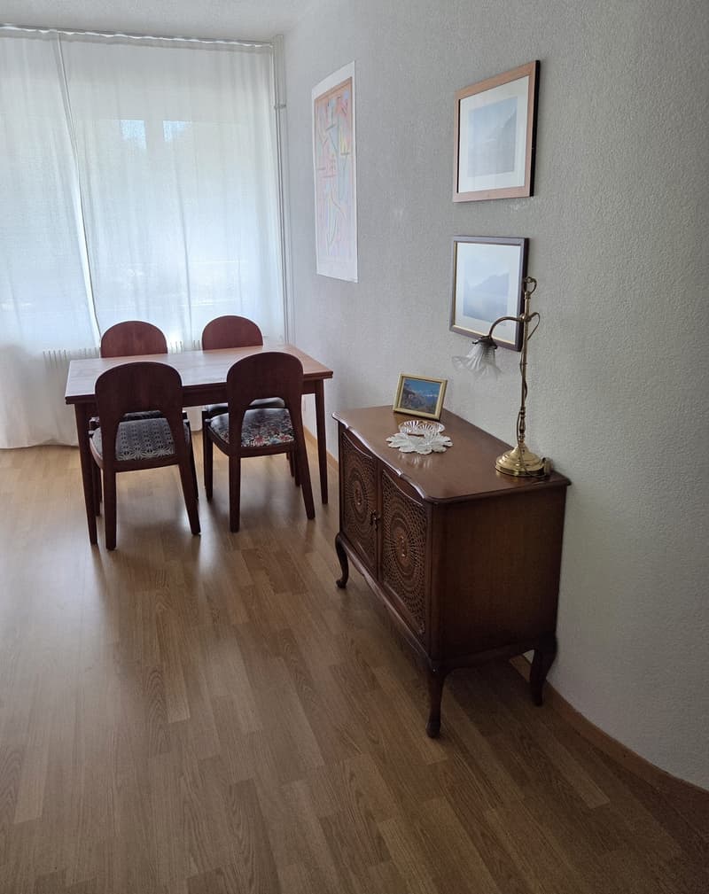 Per Mitte November 2026, oder nach Vereinbarung sucht eine grosszügige 2-Zi. Wohnung im schönen Kirchenfeldquartier in Bern eine*n Nachmieter*in (3)