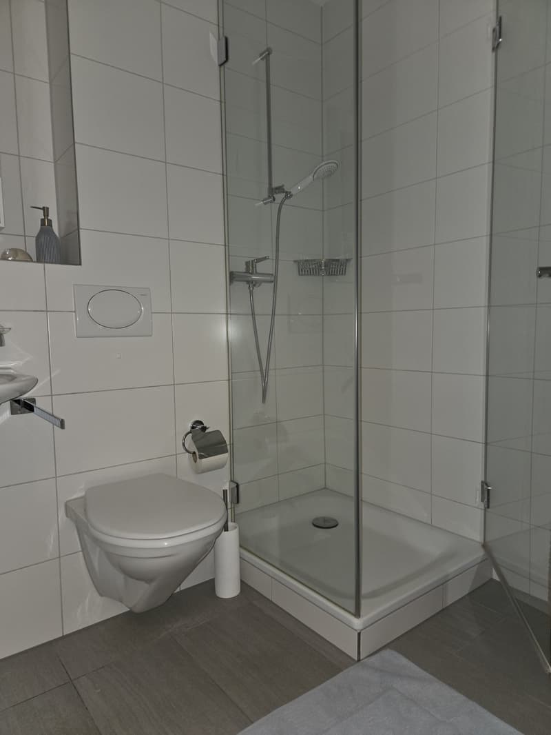 Per Mitte November 2026, oder nach Vereinbarung sucht eine grosszügige 2-Zi. Wohnung im schönen Kirchenfeldquartier in Bern eine*n Nachmieter*in (6)