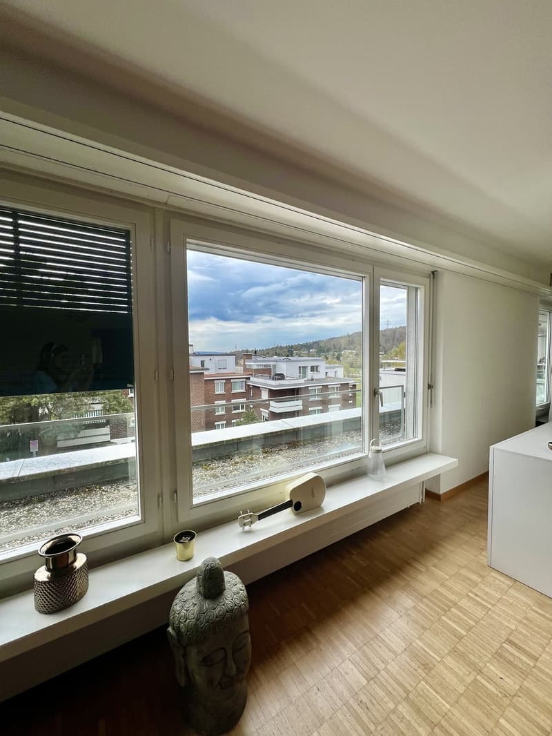 2 Wochen Untermieterin gesucht (5.10 bis 19.10.) ! 5 Zimmer Penthouse mit Terrasse in Witikon (4)