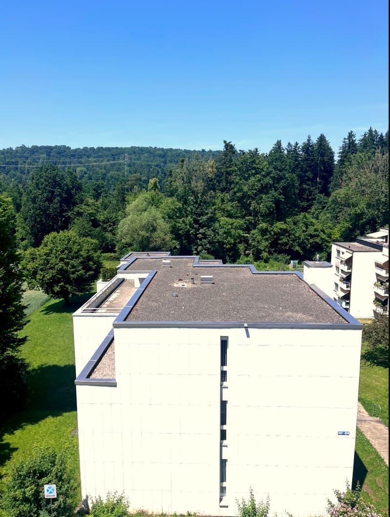 2 Wochen Untermieterin gesucht (5.10 bis 19.10.) ! 5 Zimmer Penthouse mit Terrasse in Witikon (11)