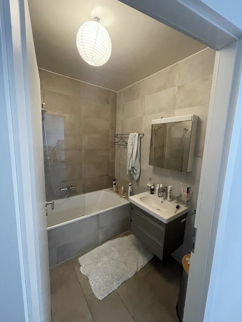 Bel appartement 2,5 pièces avec terrasse et pelouse privative à Sion (6)