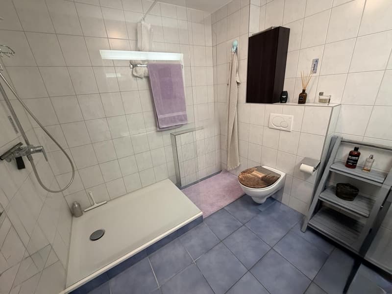 Magnifique duplex vue lac (6)