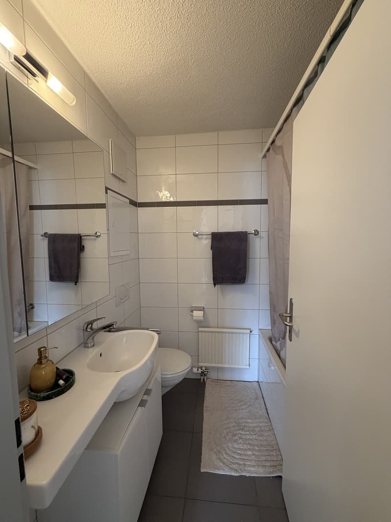 Nachmieter gesucht, grosse 2 Zimmer Wohnung (3)