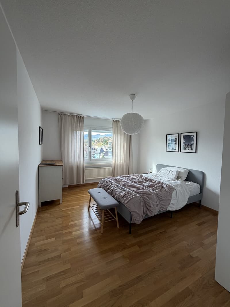 Nachmieter gesucht, grosse 2 Zimmer Wohnung (4)