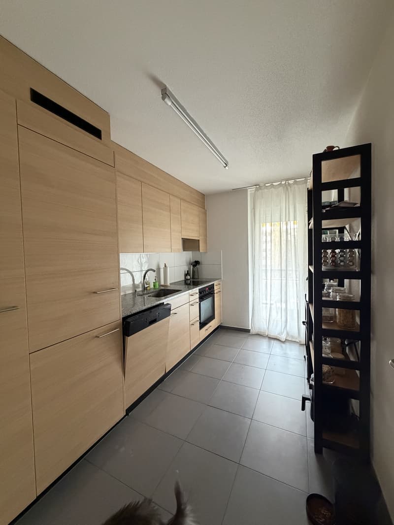 Nachmieter gesucht, grosse 2 Zimmer Wohnung (2)