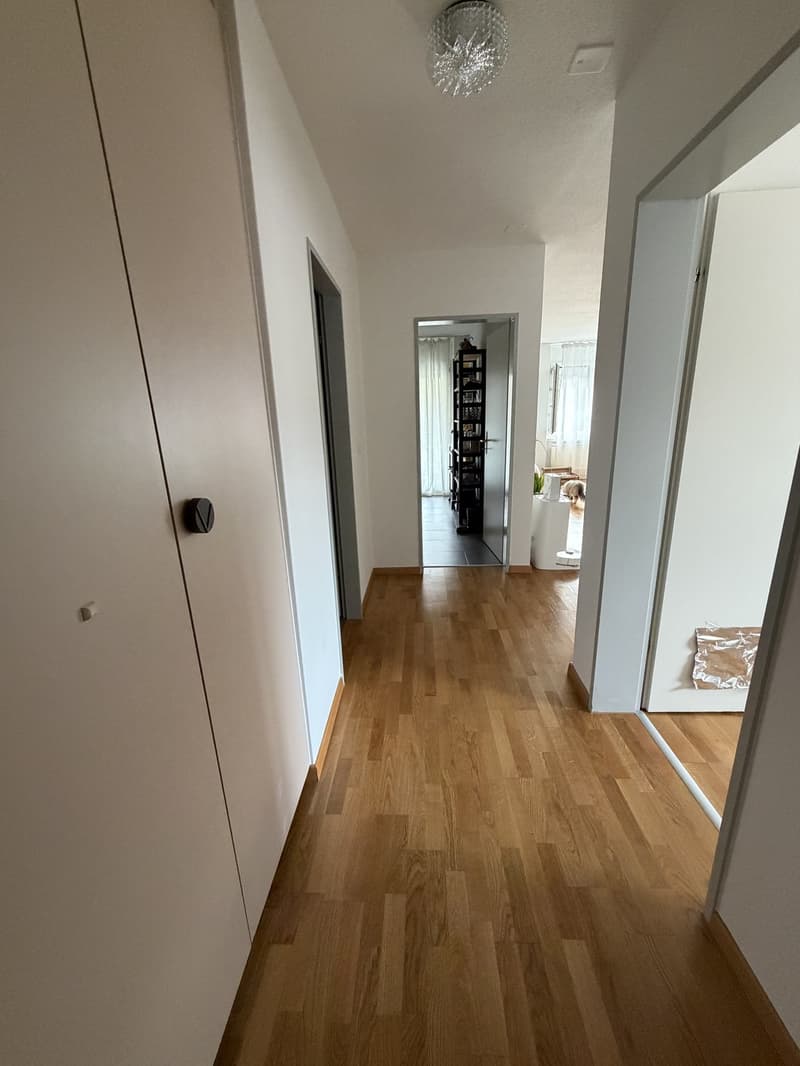 Nachmieter gesucht, grosse 2 Zimmer Wohnung (5)
