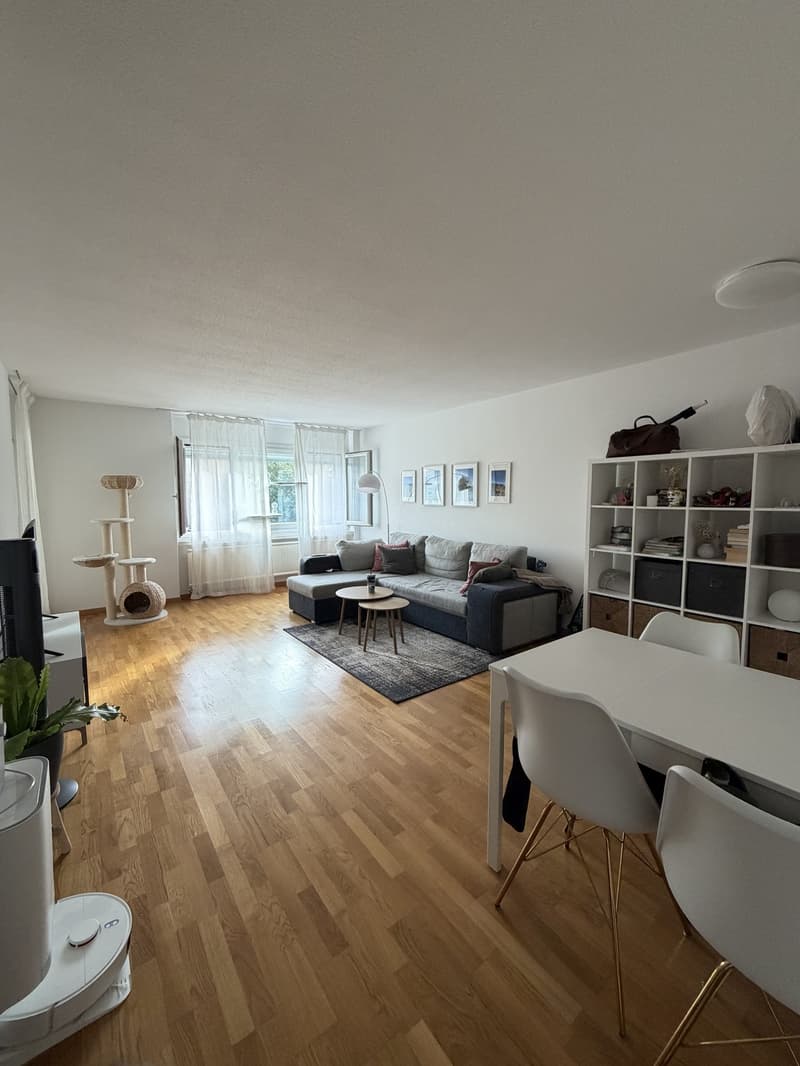 Nachmieter gesucht, grosse 2 Zimmer Wohnung (1)