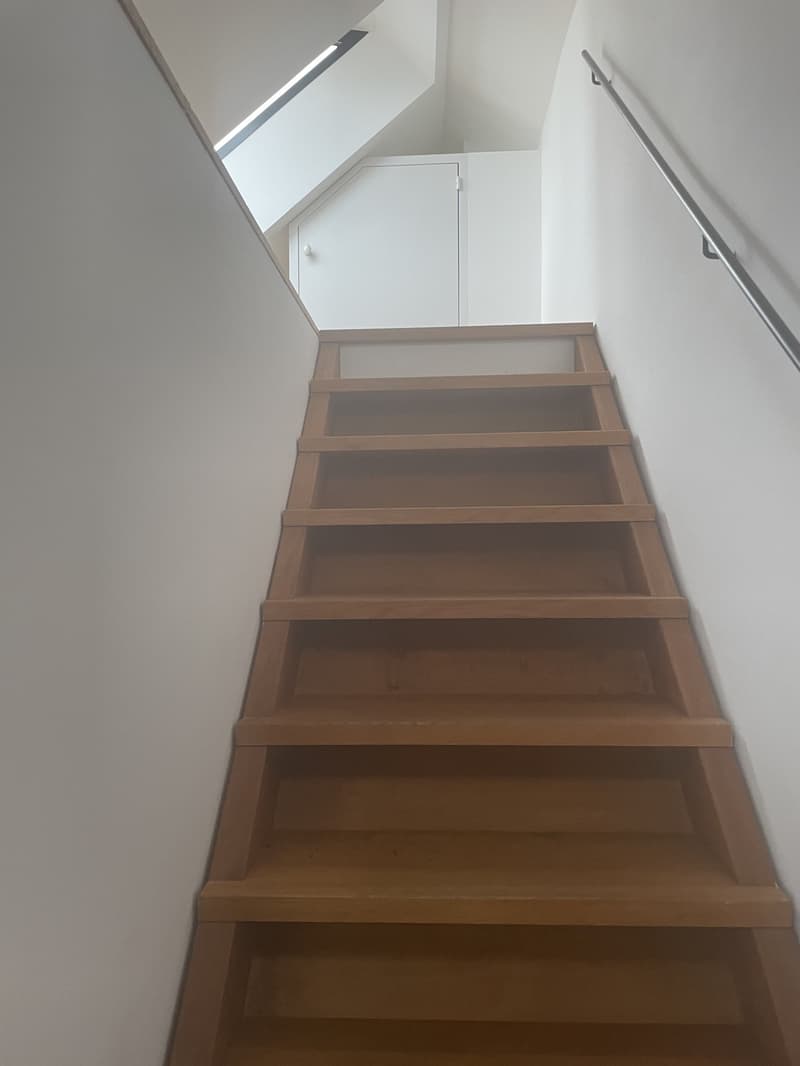 2.5-Zimmer-Maisonette am Zürichsee mit Dachterrasse, Balkon und eigenem Rebgarten (8)