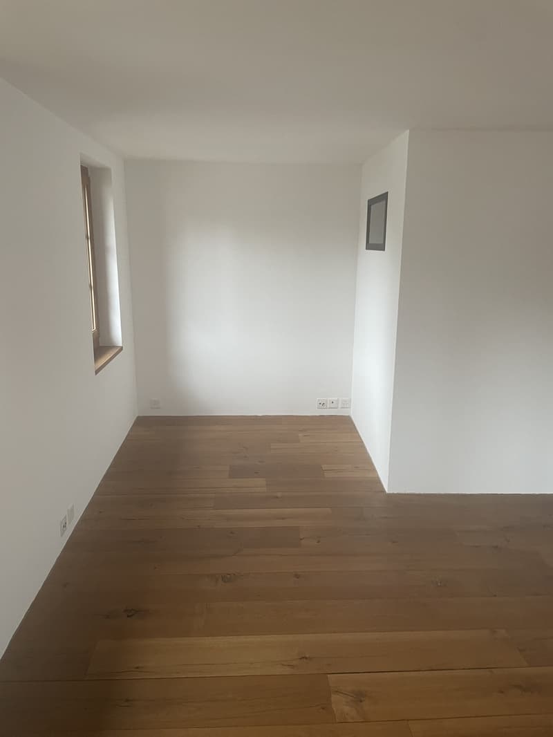 2.5-Zimmer-Maisonette am Zürichsee mit Dachterrasse, Balkon und eigenem Rebgarten (1)