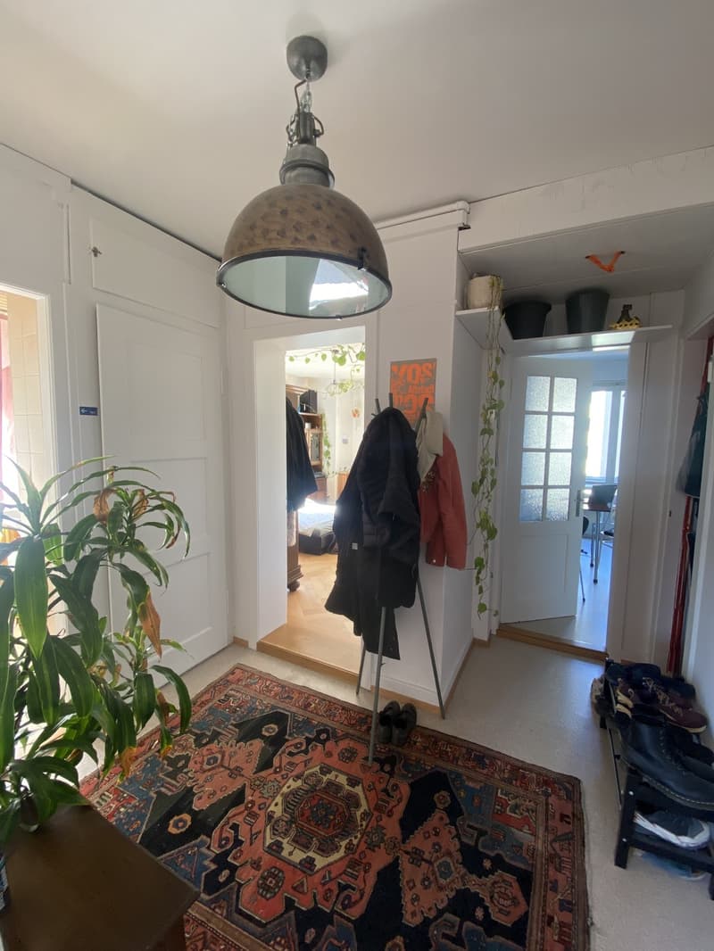 WG Zimmer, 8055 Zurich (2)
