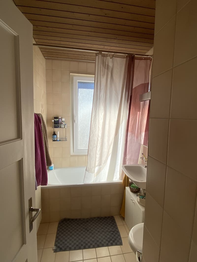 WG Zimmer, 8055 Zurich (5)