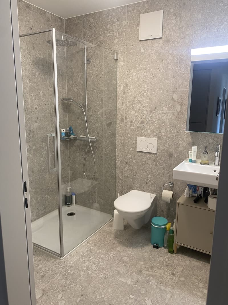 Moderne 4.5 Zimmerwohnung in Münchenstein (7)