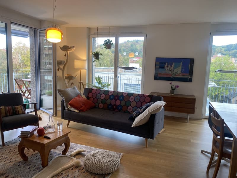 Moderne 4.5 Zimmerwohnung in Münchenstein (1)