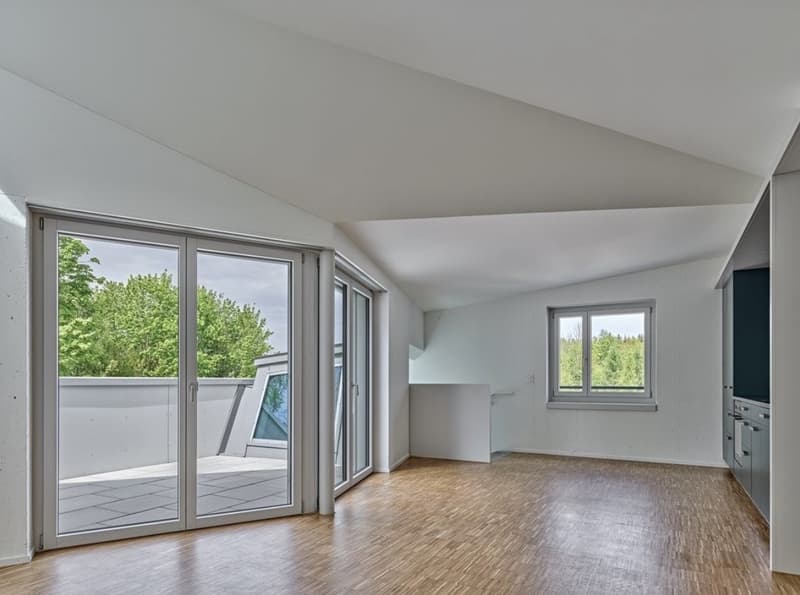 Neubau 2.5-Zimmer-Maisonette (1)