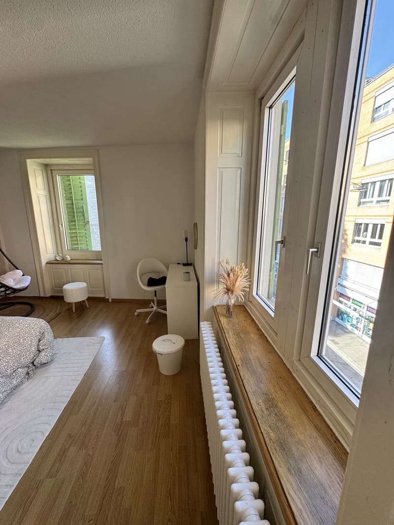 Schönes WG-Zimmer in Altbauwohnung zu vermieten (3)