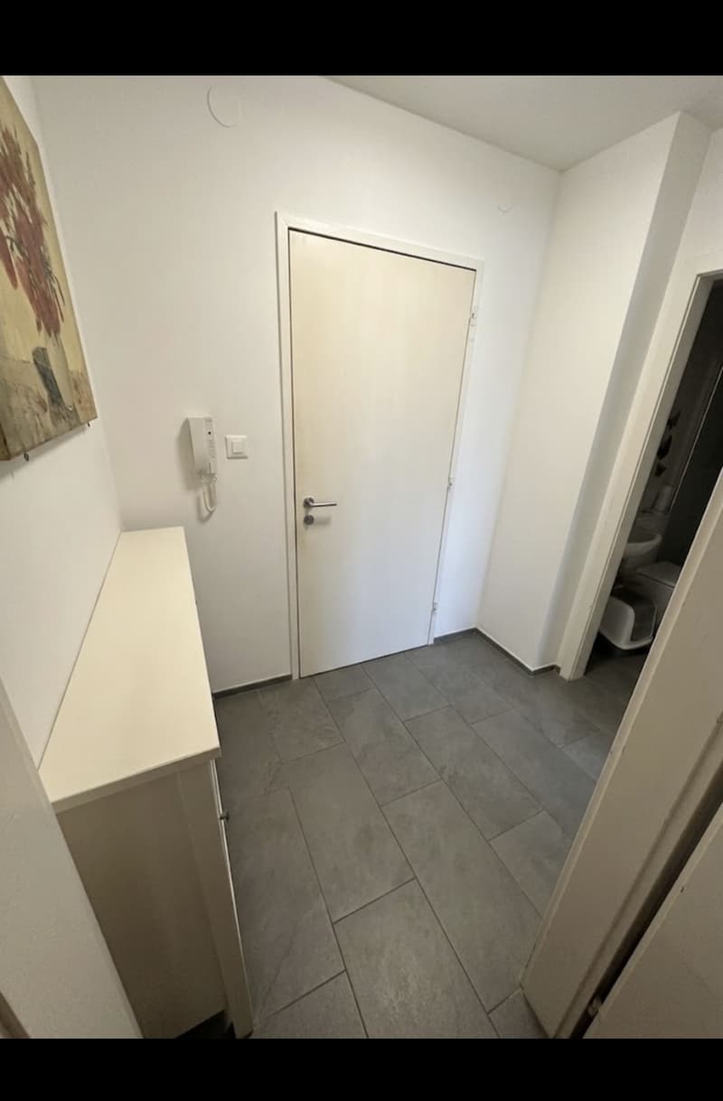2-Zimmer-Wohnung in Basel  Nachmieter gesucht (4)