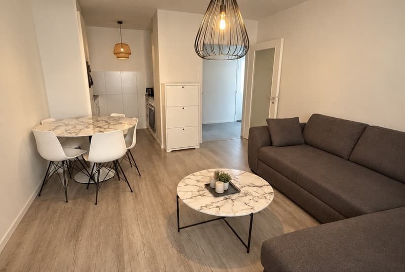 2-Zimmer-Wohnung in Basel  Nachmieter gesucht (8)