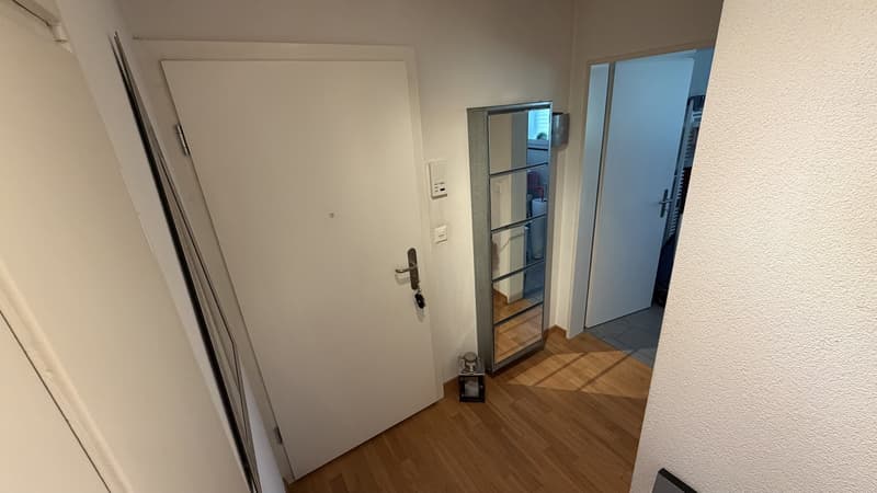 3 ½ Zimmer-Wohnung (11)