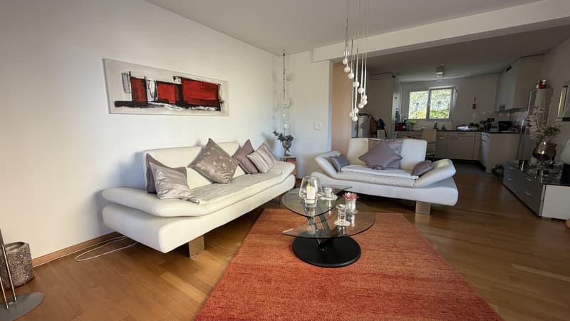 3 ½ Zimmer-Wohnung (9)