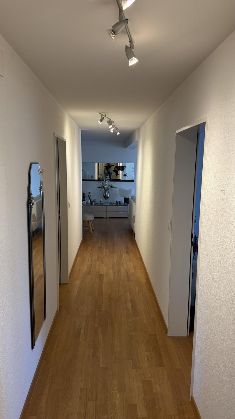 3 ½ Zimmer-Wohnung (10)