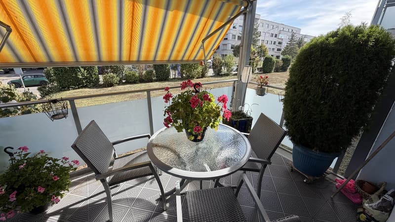 3 ½ Zimmer-Wohnung (13)