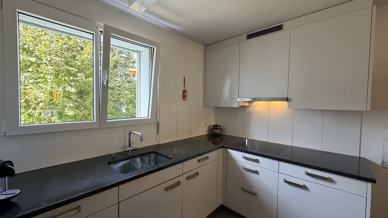 3 ½ Zimmer-Wohnung (6)