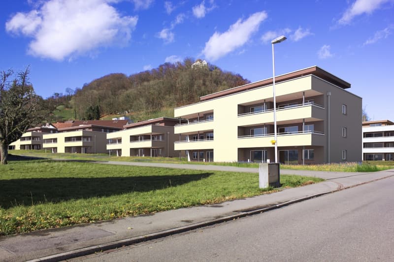 Grosszügige, helle Wohnung (3)