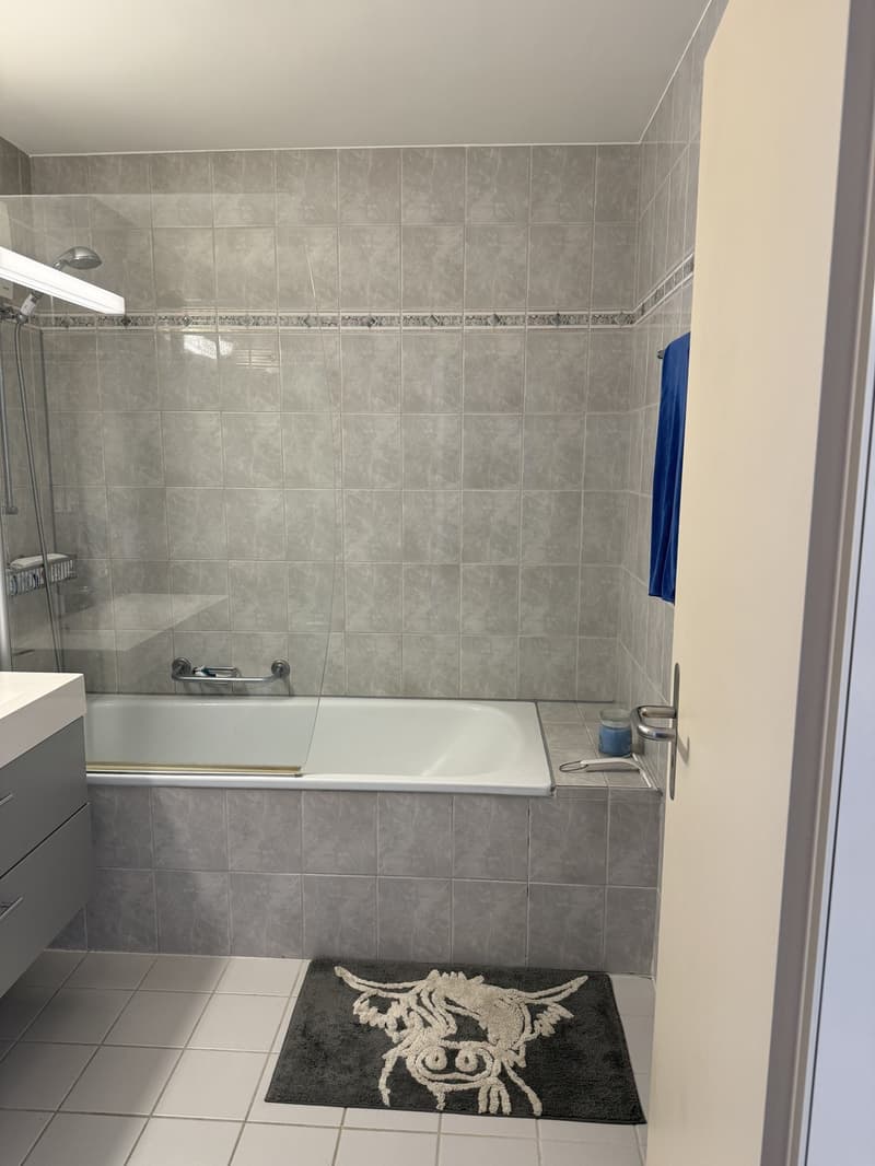 Wunderschöne 3 Zimmer Maisonettewohnung (5)