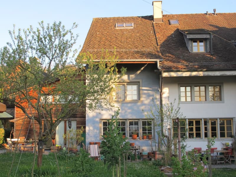 Wunderschönes Zimmer in Altbauwohnung im alten Albisriederdörfli (2)