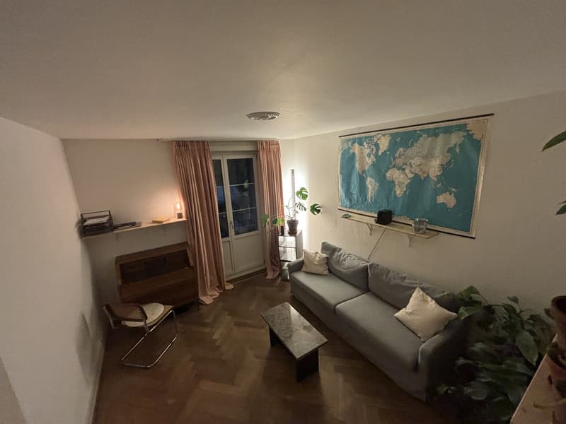 2.5 Zimmer Wohnung Breitenrain (2)
