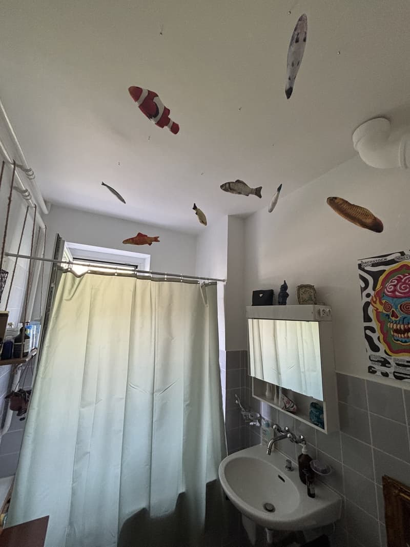2.5 Zimmer Wohnung Breitenrain (3)
