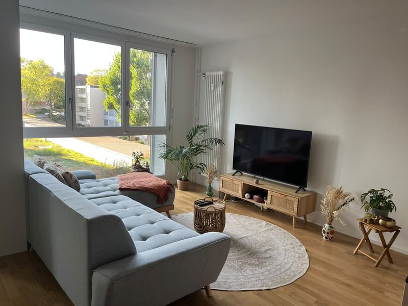 Helle möblierte 3.5-Zimmerwohnung in Bern  befristet (6)