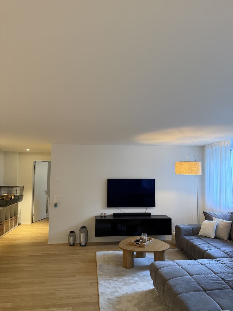 Grosszügige 2 1/2 Zimmerwohnung an ruhiger Lage (3)