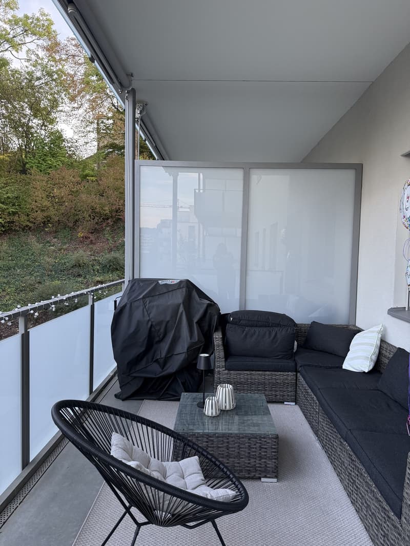 Grosszügige 2 1/2 Zimmerwohnung an ruhiger Lage (8)