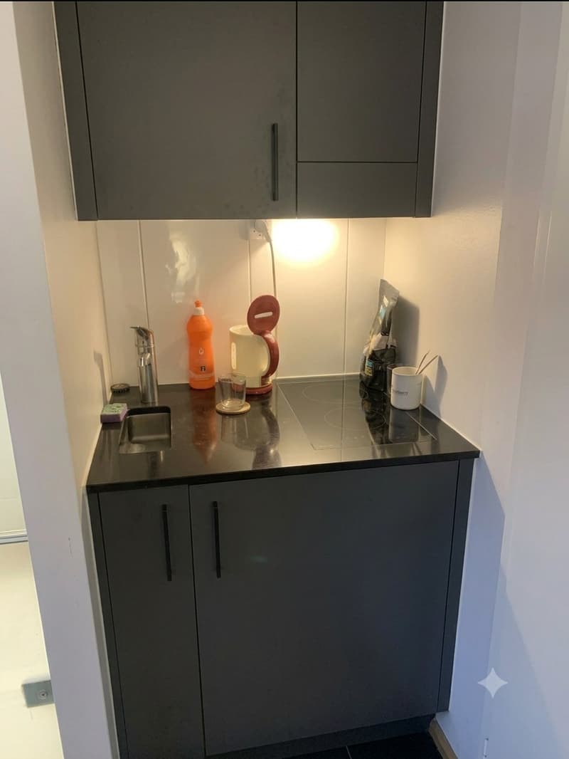 Furnished Studio Apartment in Zurich Schmiede Wiedikon (1)