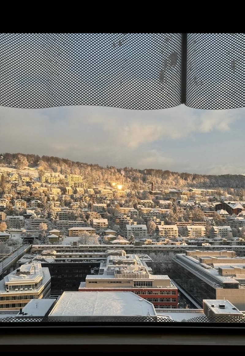 Room in Zurich (6)