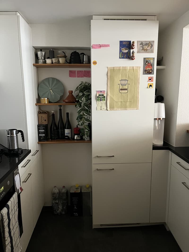 Charmante 3.5-Zimmer-Altbauwohnung im Herzen der Zürcher Altstadt (6)