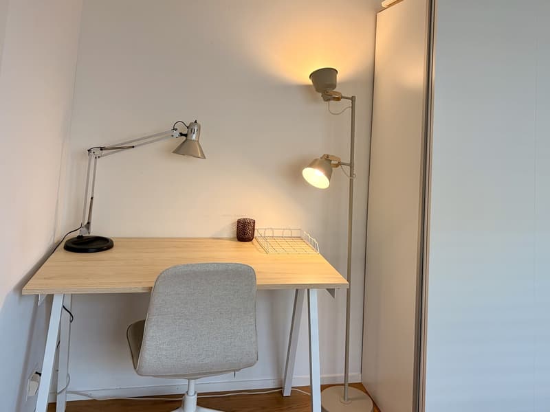 Helles WG-Zimmer in schöner Wohnung in Schlieren (3)