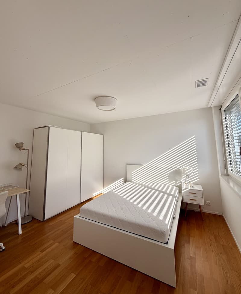Helles WG-Zimmer in schöner Wohnung in Schlieren (2)
