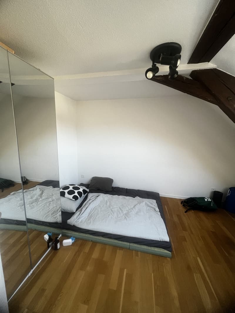 3 Zimmer-Wohnung, 9000 St.Gallen (4)