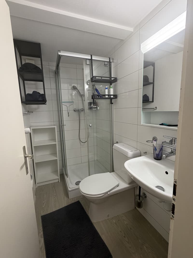 3 Zimmer-Wohnung, 9000 St.Gallen (11)