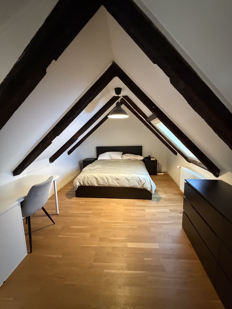 3 Zimmer-Wohnung, 9000 St.Gallen (8)